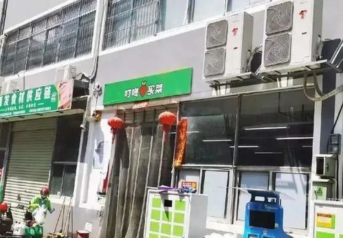 加快發(fā)展數(shù)字田園，以科技引領農(nóng)業(yè)現(xiàn)代化轉(zhuǎn)型
