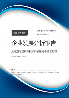 上海市徐匯區(qū)漕河涇開發(fā)區(qū)企業(yè)名錄與網(wǎng)絡技術服務生態(tài)分析